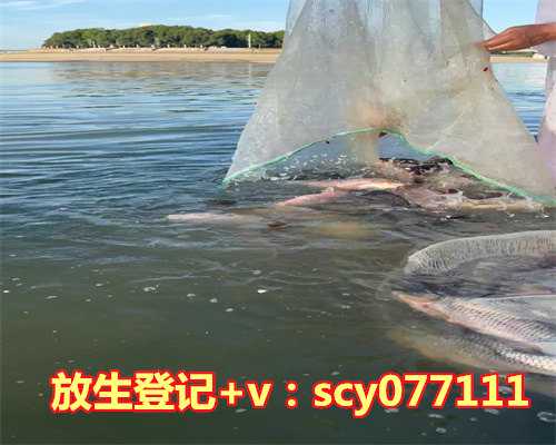 <strong>锦鲤放生到河里会饿死吗，家里养锦鲤鱼风水作用有哪些</strong>