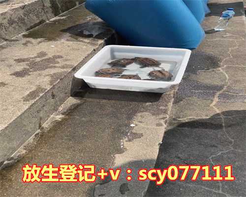 泰国放生给阴历生日可以吗，过生日当天可以领结婚证吗,男方生日当天可以领