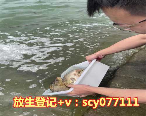 青岛放生园放生锦鲤，青岛机场驱鸟用“八般武器”