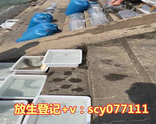 北京哪里有放生乌龟的，【新春游北京】30个北京情调自习室