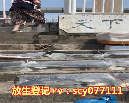 <strong>鹌鹑适合放生的地方吗，圆满放生：适合干法暂养的半水栖龟放生3（3）</strong>