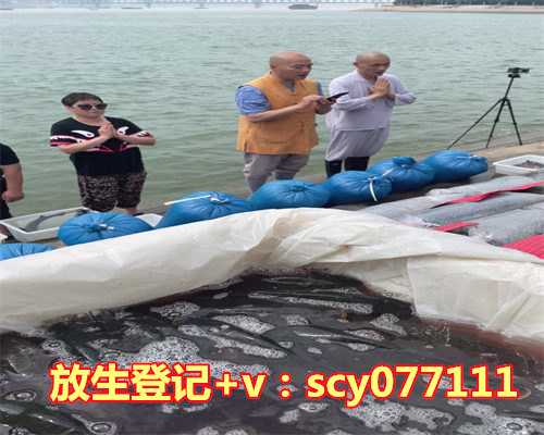 3月份放生什么最好，放生什么动物求财最好