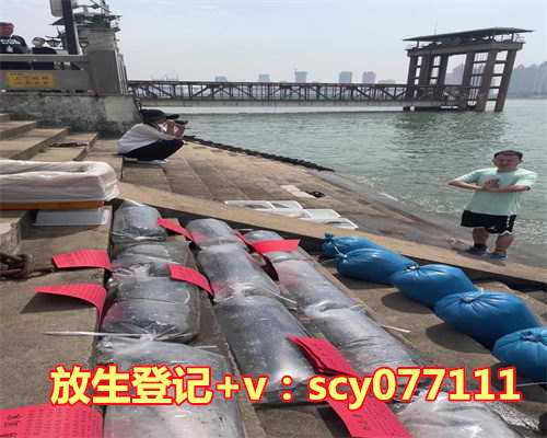 放生鱼籽可以活吗,各位师兄放生真的可以转运吗