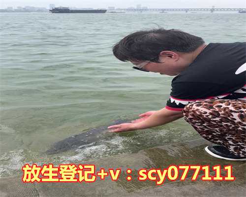 放生日是几月几号2023年公历12月，白羊座出生日期白羊座是几月几号到几月几号