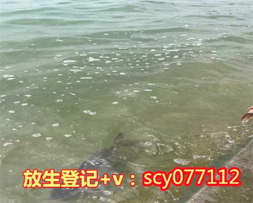 北京永定河放生地点,浅谈老北京的素食文化