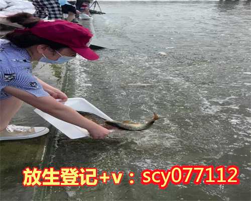 清远为死去的人放生可以吗，清远哪里可以放生鸭子，清远冬天放生什么