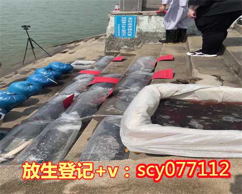 乌龟壳刻名字放生,男子买乌龟炖汤不忍宰杀放生5次龟不愿走