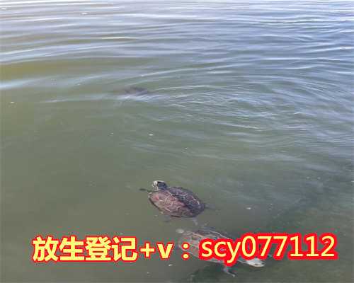 常州放生螃蟹感应,常州正月十五适合放生吗,常州哪里可以放生鱼类