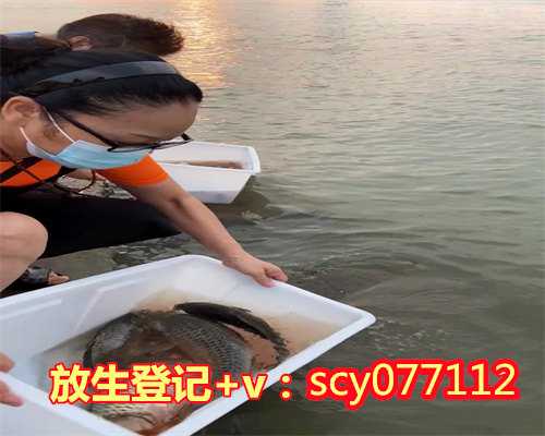 2023年4月放生日子，老黄历2023年5月结婚吉日