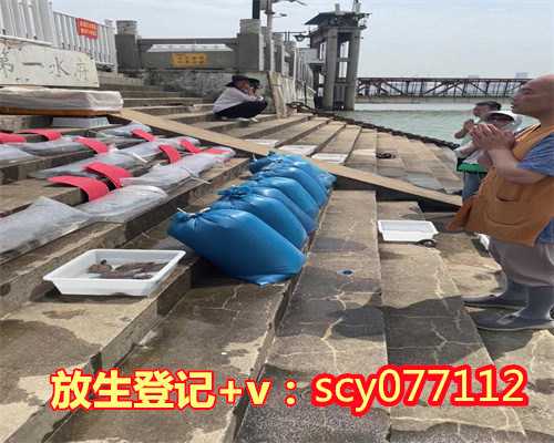 草龟放生有什么讲究和忌讳,床底下放东西会破财么有什么讲究