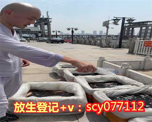 放生甲鱼要念什么咒，放生前要念什么放生的时候要说什么话