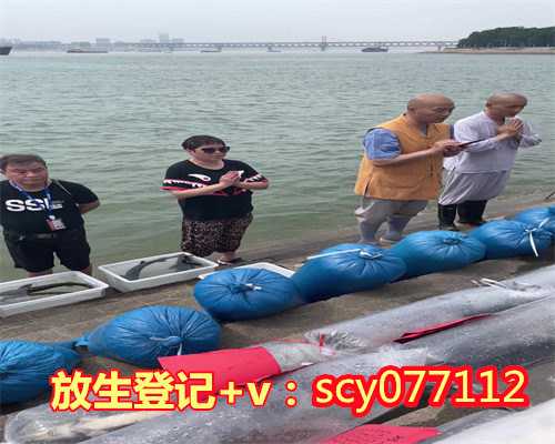 2024年法律可以放生吗,以法律名义向“任性放生”说不