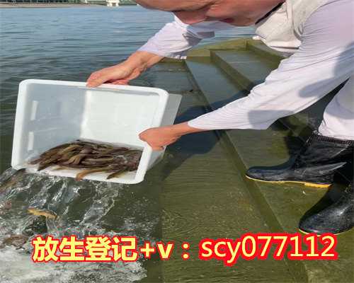 南京所有放生群在哪，南京渔民捕获胭脂鱼王体长超1米
