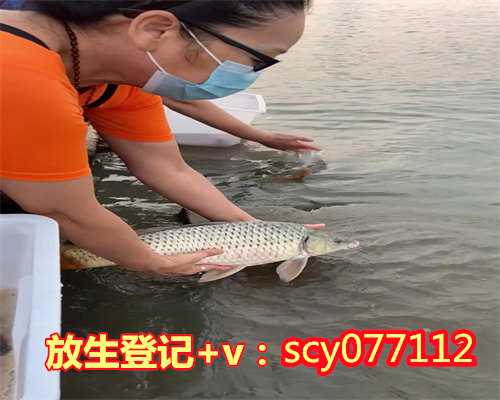 放生要什么鱼才能放,梦见放生鱼意味着什么?