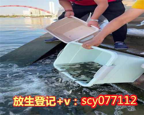 北京放生鸟类的地方,帕奥禅师北京开示止观