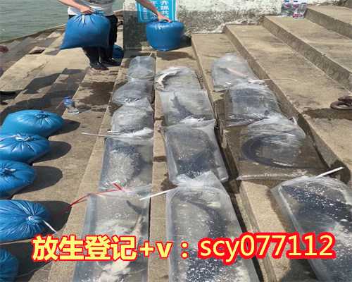 北京放生泥鳅最佳地点，甘地铜像在北京落成