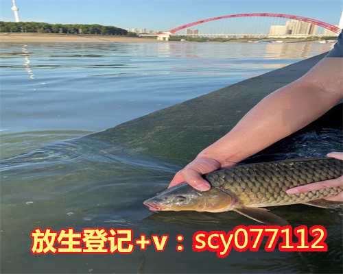 潍坊放生消业障最快最好,潍坊哪里可以放生财鱼的,潍坊放生乌龟的最佳地点