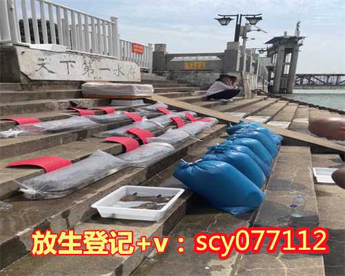 南海放生台收费吗，误捕海龟深海放生